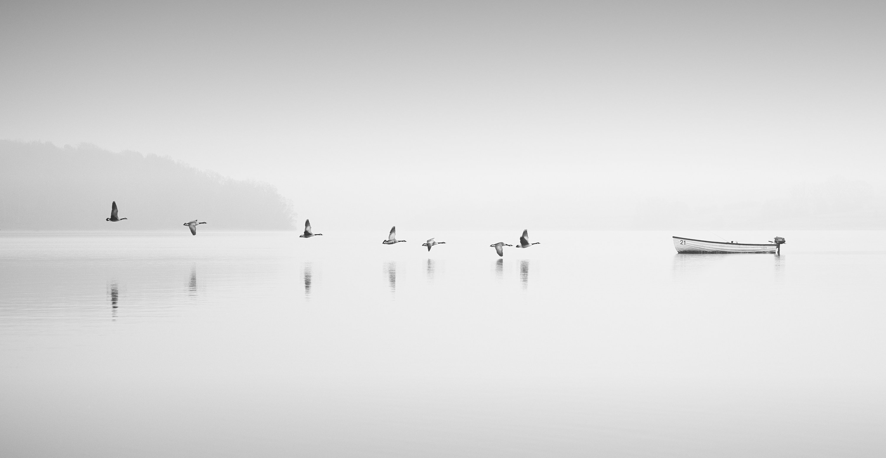  Geese in the Mist 