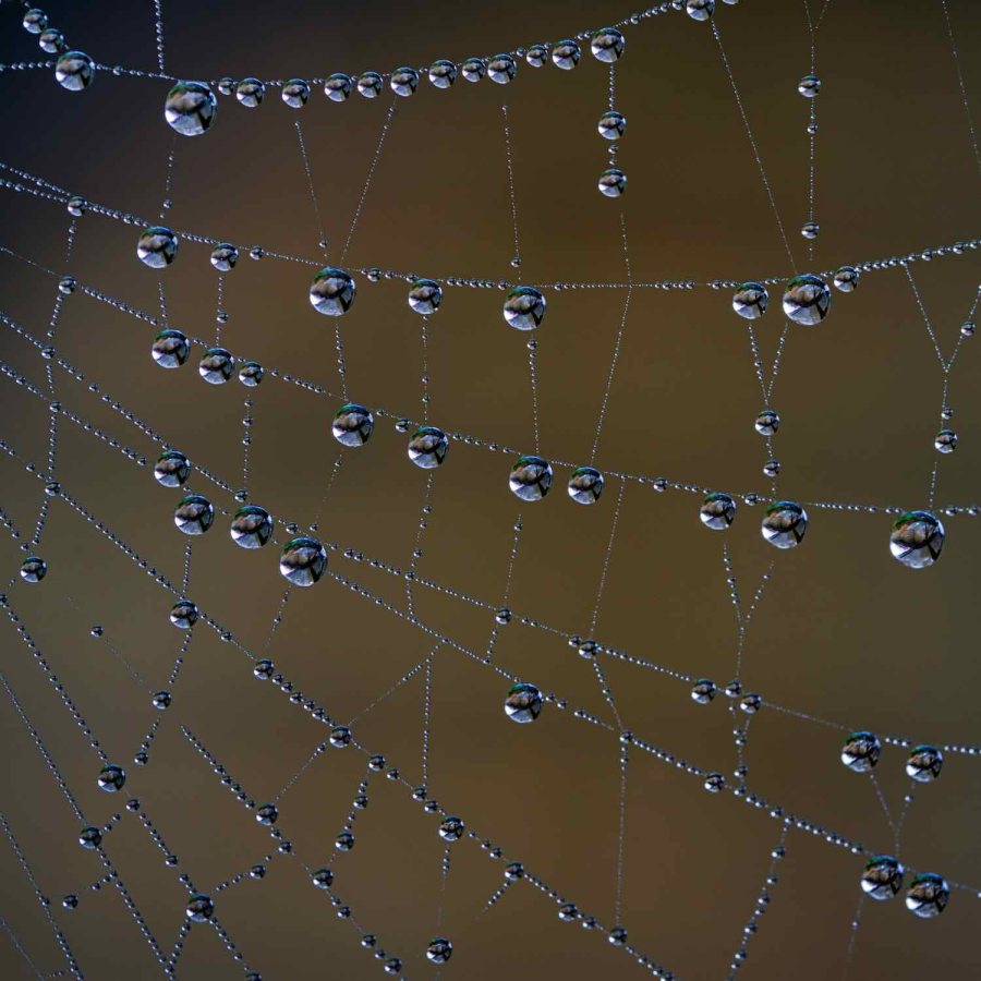 Jewel Drops