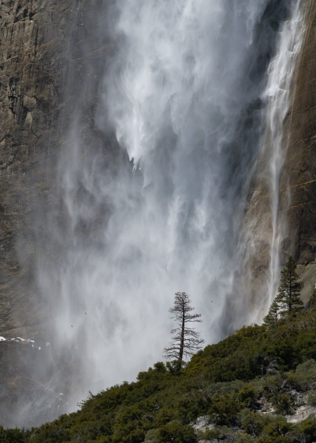 Faces of the Falls